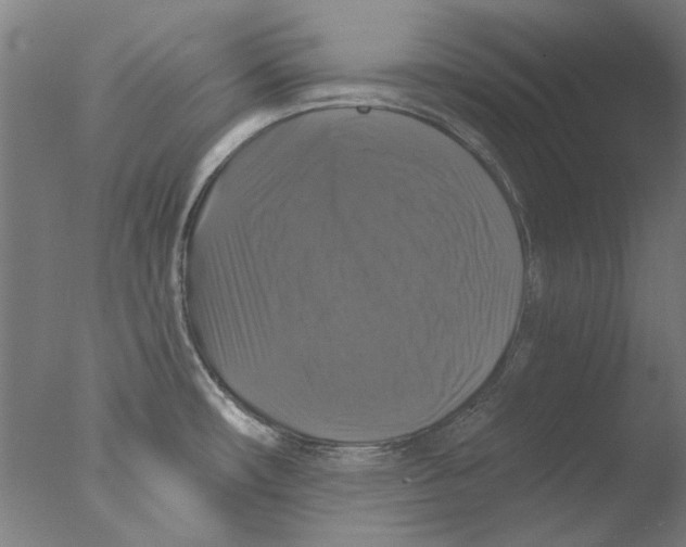 X0000076081482200610202027