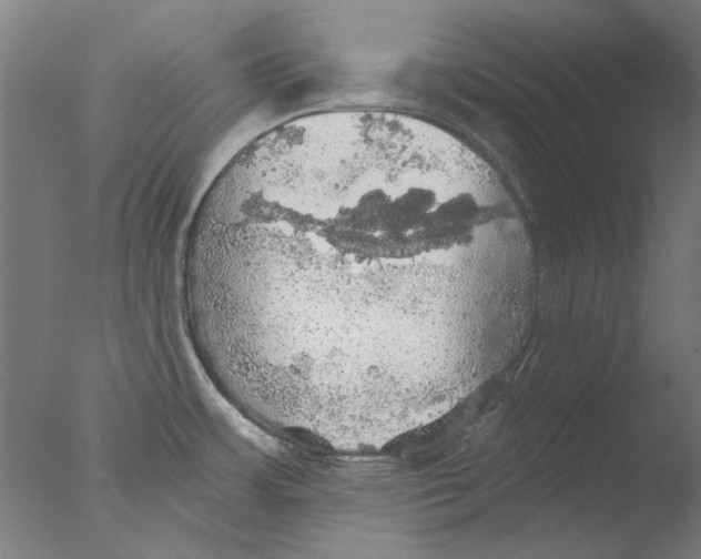 X0000076081483200610202027