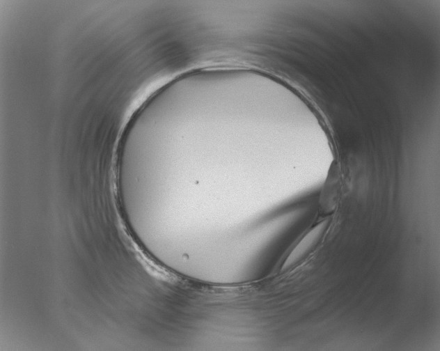 X0000076081485200610202027