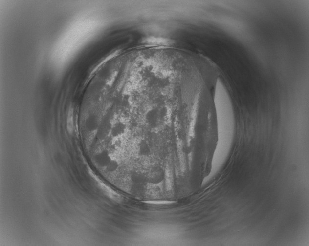 X0000076081487200610202027