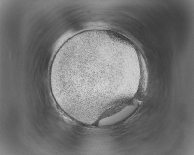 X0000076081488200610202027