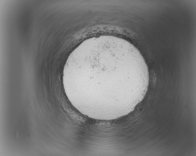 X0000076081489200610202026