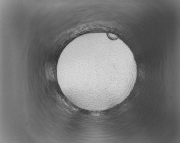 X0000076081490200610202026