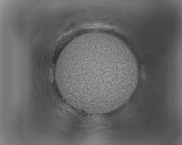 X0000076081493200610202026