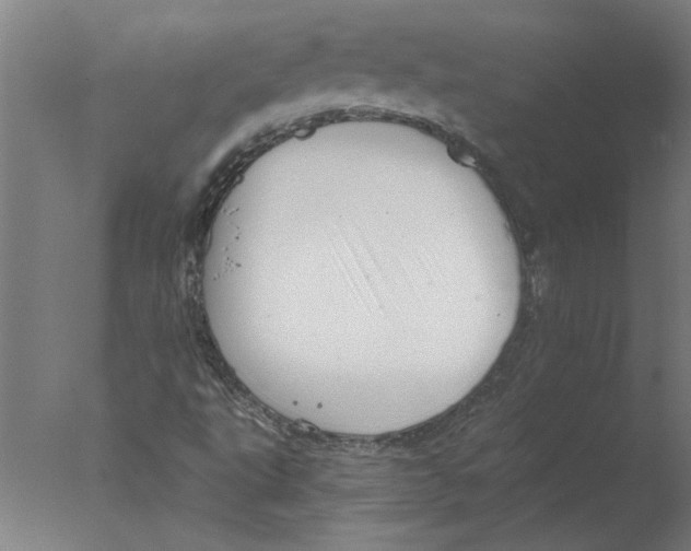 X0000076081495200610202026