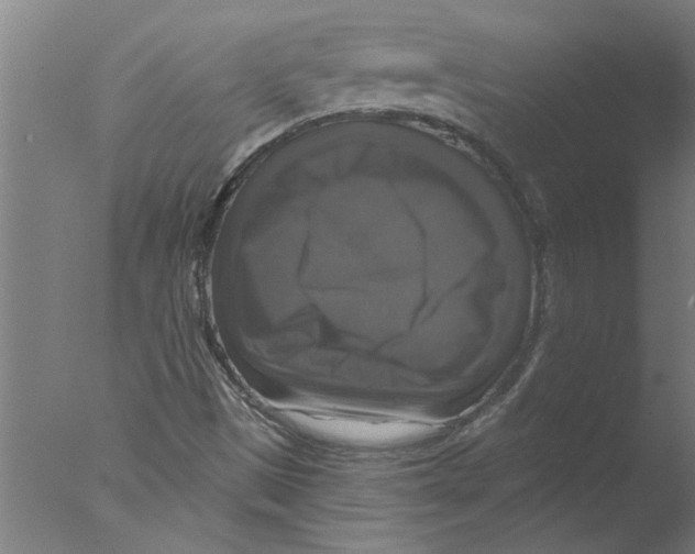 X0000076081497200610202026