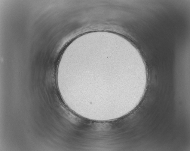 X0000076081498200610202026