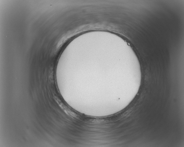 X0000076081499200610202026