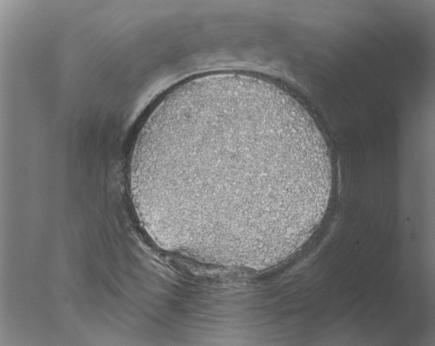 X0000076081501200610202026