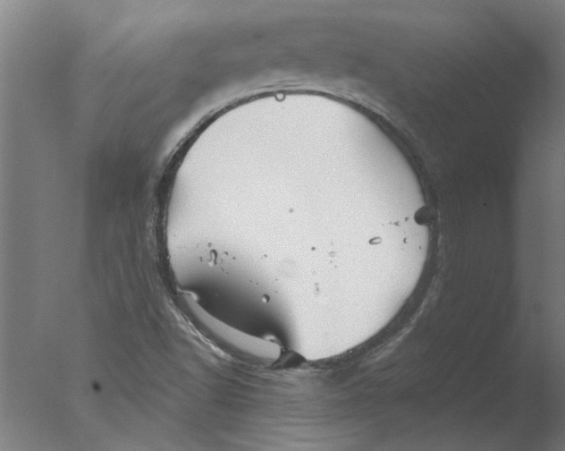 X0000076081502200610202026