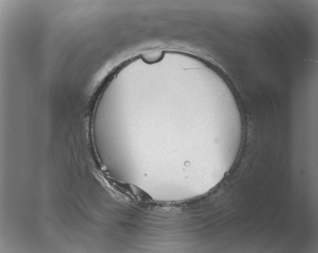 X0000076081503200610202026