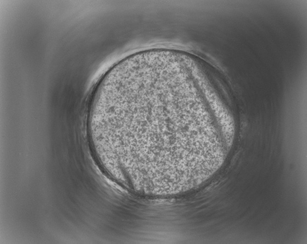 X0000076081504200610202026