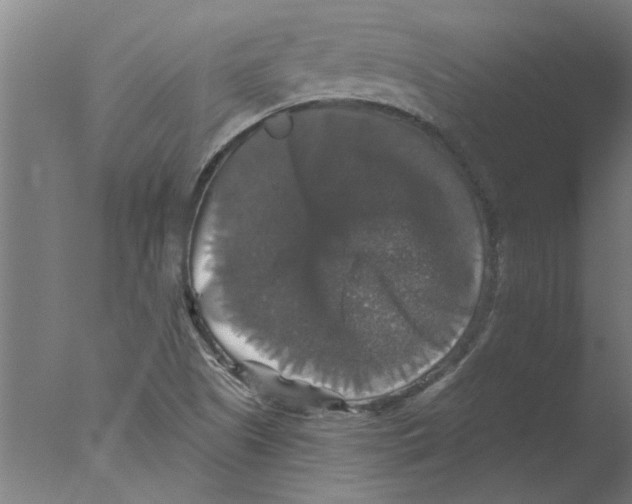 X0000076081505200610202026