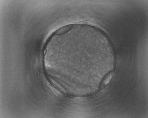 X0000076081506200610202026