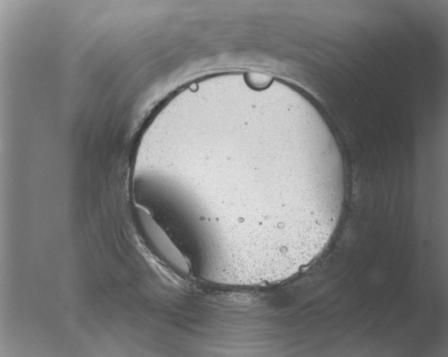 X0000076081507200610202027