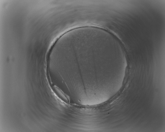 X0000076081508200610202027