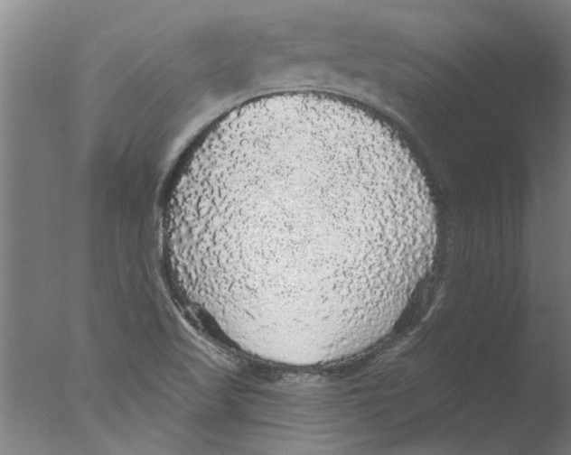 X0000076081509200610202027