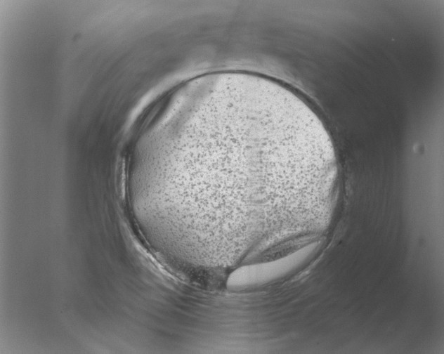 X0000076081510200610202027