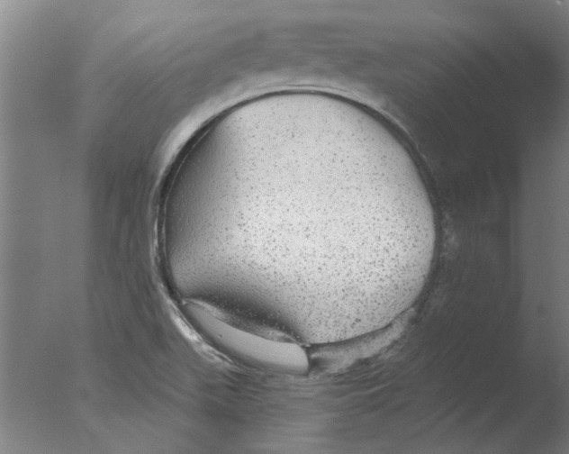 X0000076081511200610202027