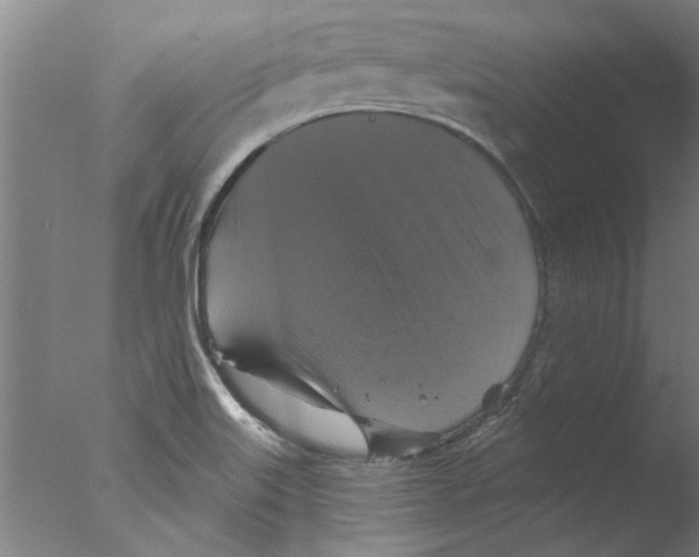 X0000076081515200610202027