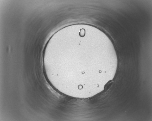 X0000076081516200610202027