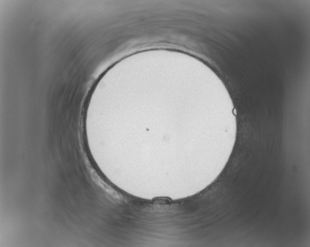 X0000076081518200610202027