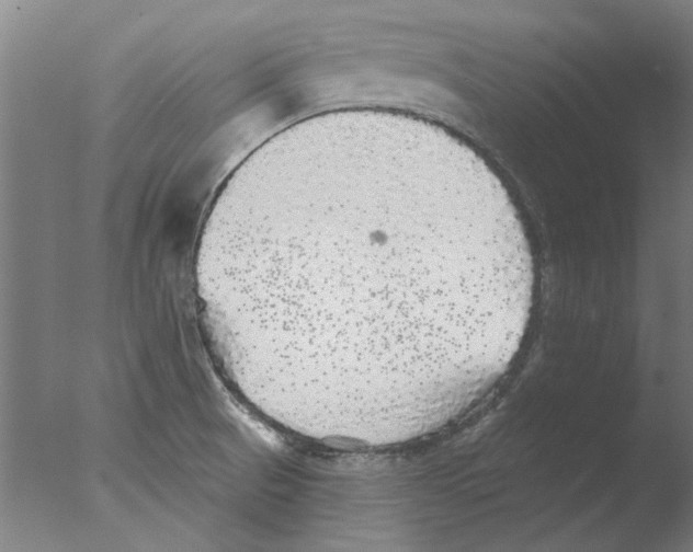 X0000076081521200610202027