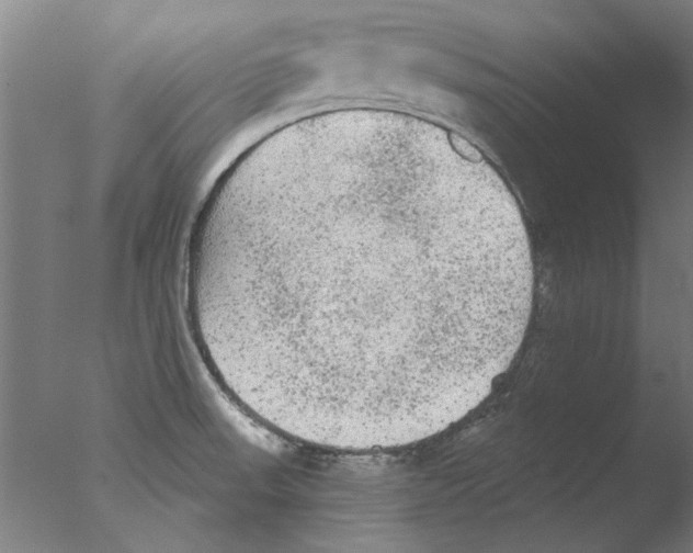 X0000076081523200610202027