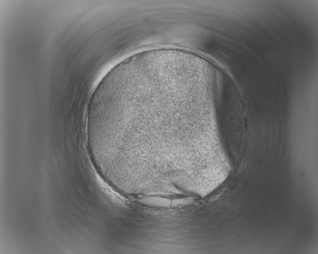 X0000076081524200610202027