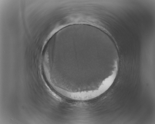 X0000076081525200610202027