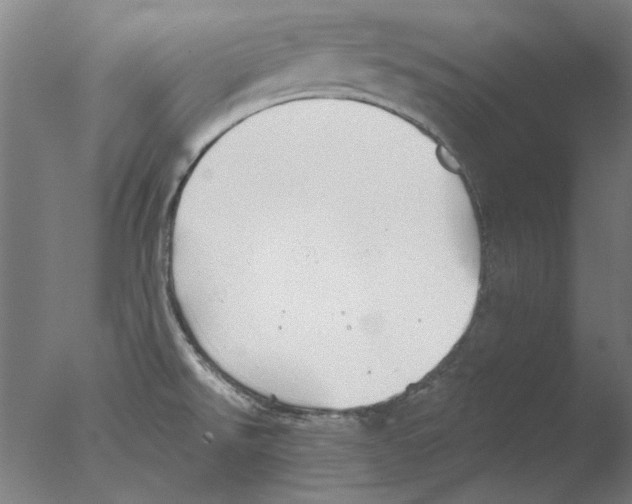 X0000076081526200610202027