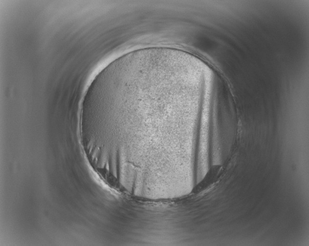 X0000076081528200610202027