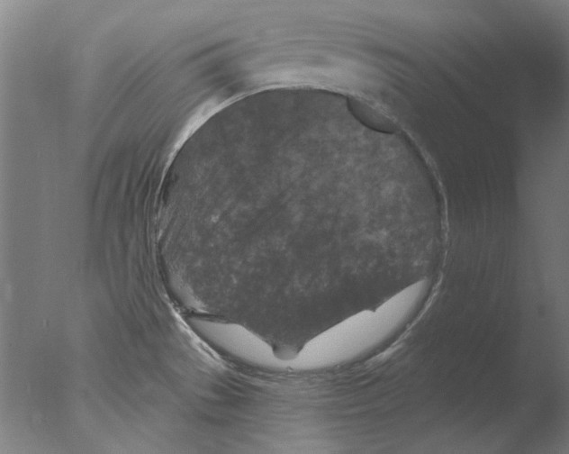 X0000076081529200610202027