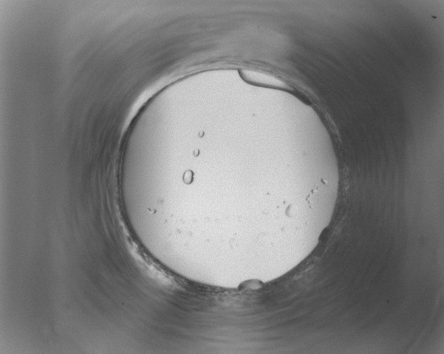 X0000076081530200610202027