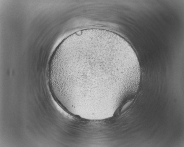 X0000076081531200610202027