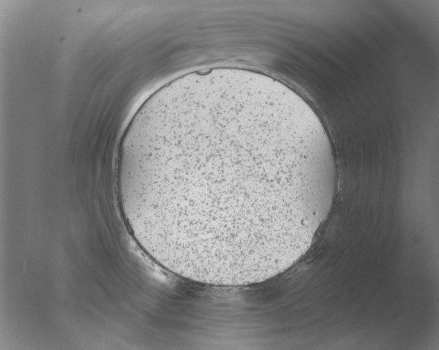 X0000076081532200610202027