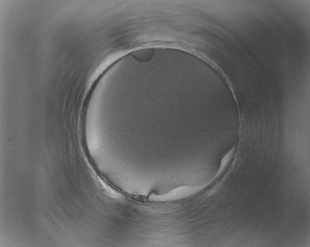 X0000076081533200610202027