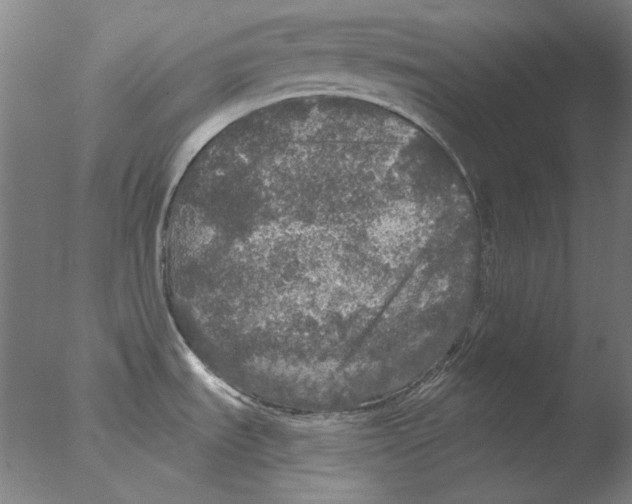 X0000076081535200610202027