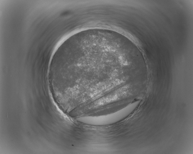 X0000076081536200610202027