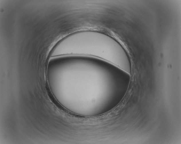 X0000076090011200609221015