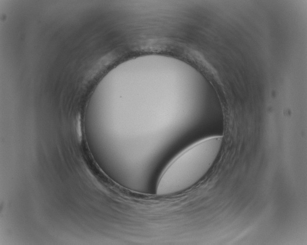 X0000076090020200609221015