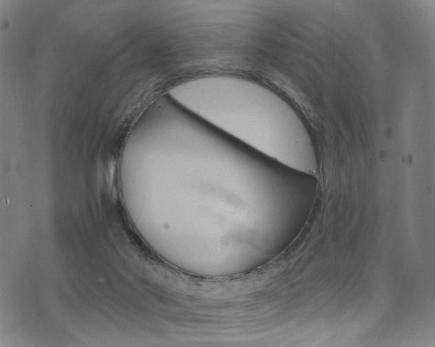 X0000076090022200609221015