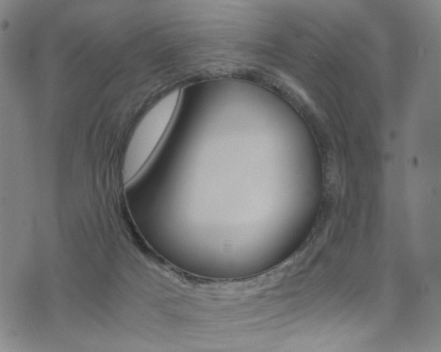 X0000076090025200609221015