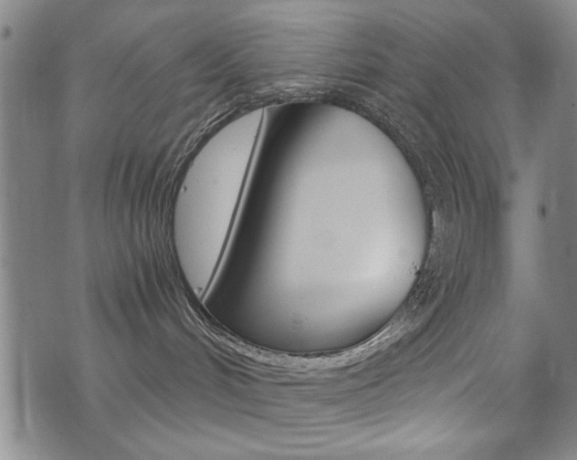 X0000076090048200609221014