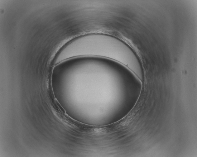 X0000076090060200609221014