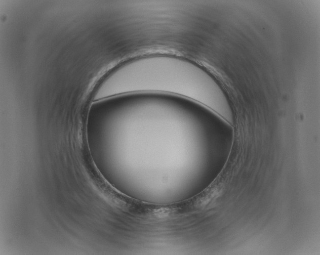 X0000076090064200609221014