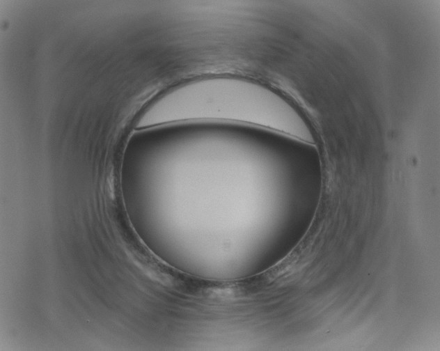 X0000076090068200609221014