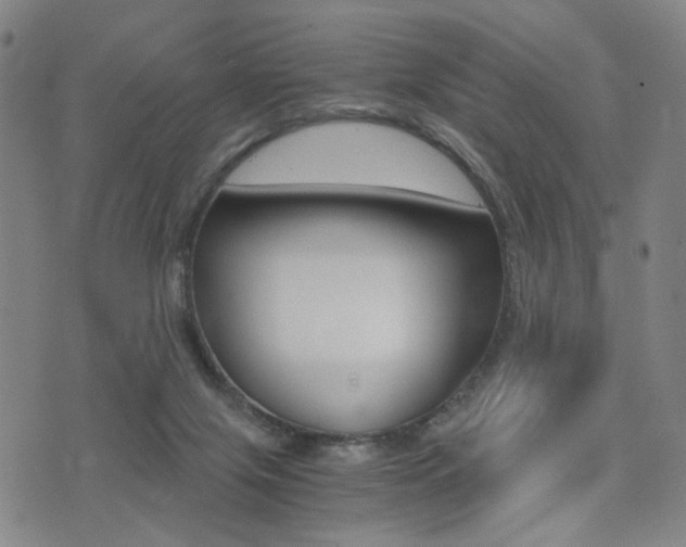 X0000076090071200609221014