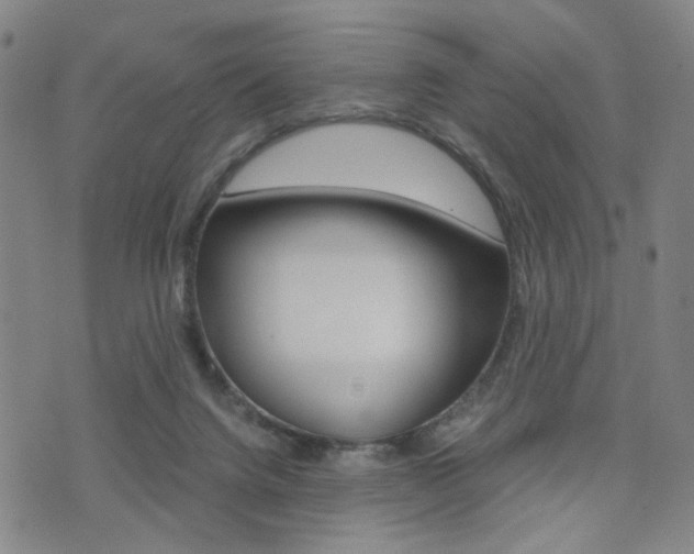 X0000076090072200609221014