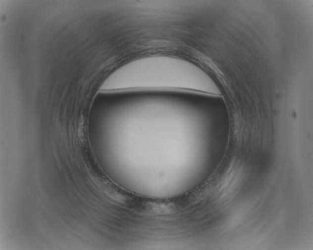 X0000076090073200609221014